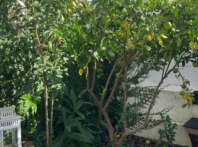 Apartman Garden Lisboa