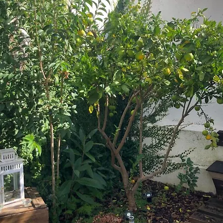 דירה Garden ליסבון